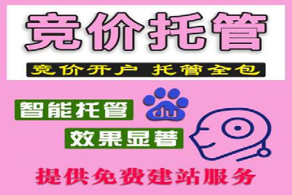 百度SEM案例：实战解析搜索排名提升之道